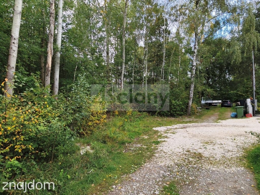 Inwestycyjna działka 9031 m², Wycinki Osowskie - zdjęcie 3