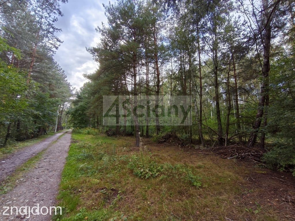 Inwestycyjna działka 9031 m², Wycinki Osowskie - zdjęcie 5