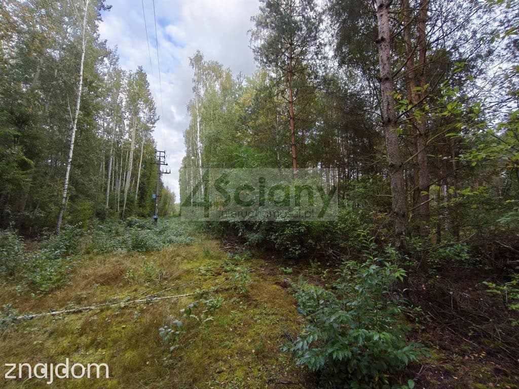 Inwestycyjna działka 9031 m², Wycinki Osowskie - zdjęcie 6