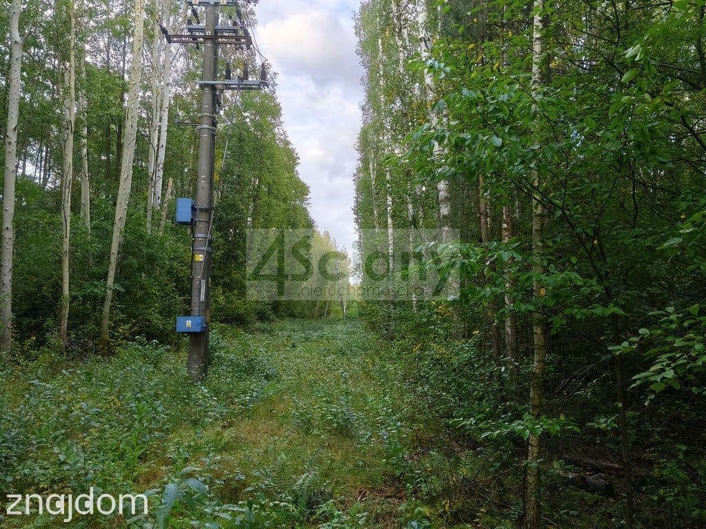 Inwestycyjna działka 9031 m², Wycinki Osowskie - zdjęcie 7