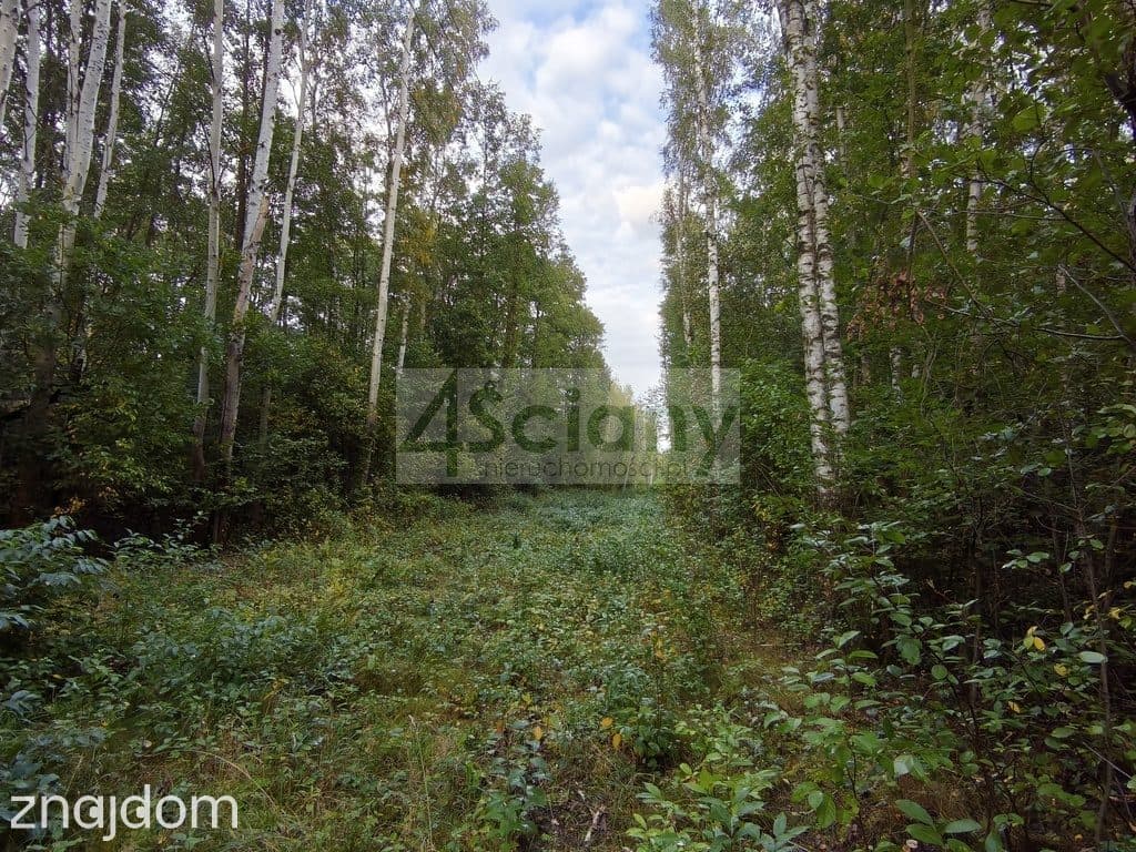 Inwestycyjna działka 9031 m², Wycinki Osowskie - zdjęcie 2