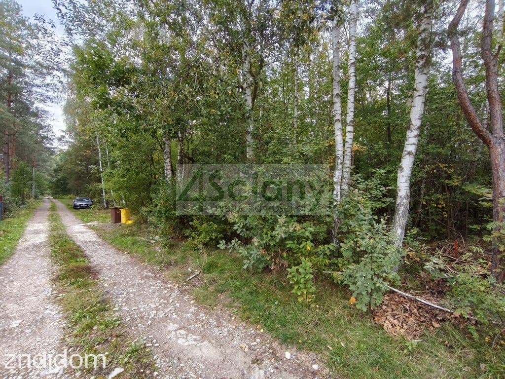Działka budowlana (MN) 4511 m² | Wycinki Osowskie - zdjęcie 3