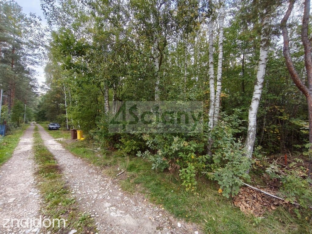 Działka budowlana (MN) 4511 m² | Wycinki Osowskie - zdjęcie 4