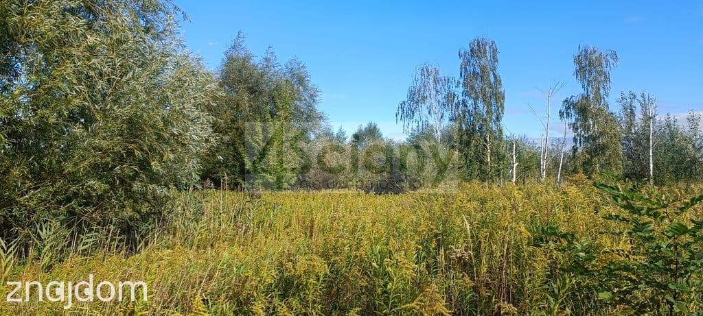 Działka, MICHAŁOWICE-WIEŚ
