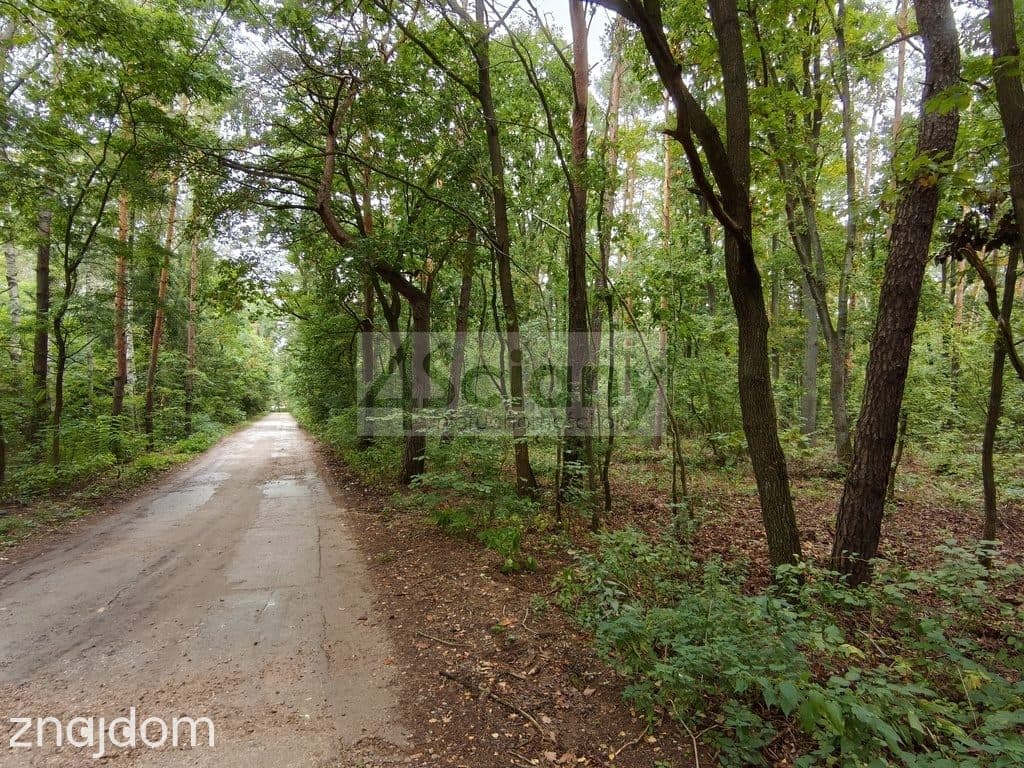 Działka rekreacyjno-mieszkaniowa 1500 m² Ojrzanów - zdjęcie 2