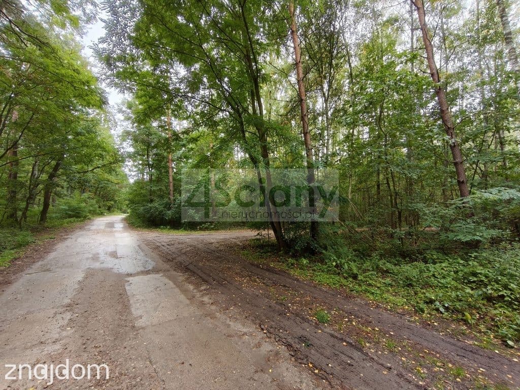 Działka rekreacyjno-mieszkaniowa 1500 m² Ojrzanów - zdjęcie 3