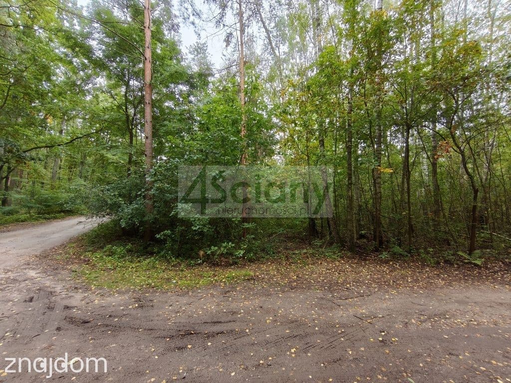 Działka rekreacyjno-mieszkaniowa 1500 m² Ojrzanów - zdjęcie 4