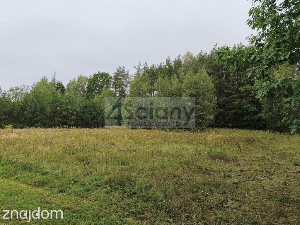Działka rekreacyjno-mieszkaniowa 1500 m² Ojrzanów - zdjęcie 6