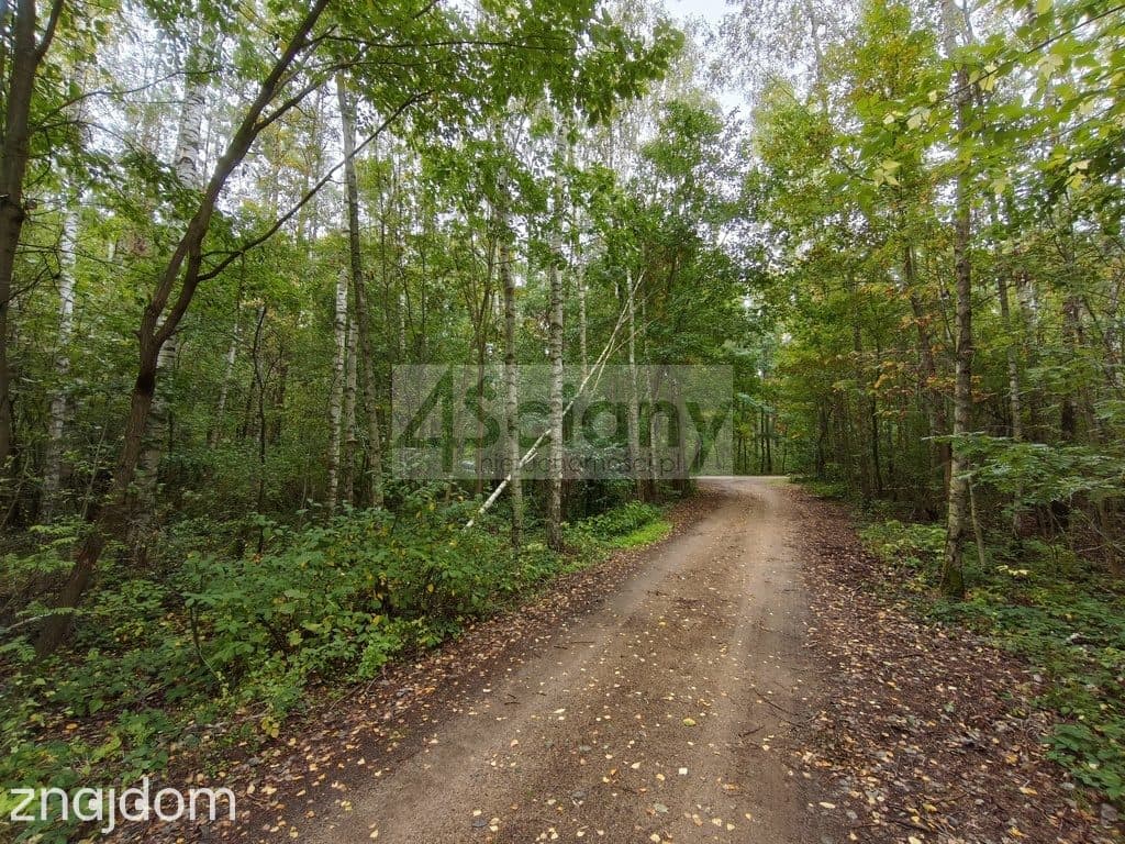 Działka budowlana1500 m² Ojrzanów - zdjęcie 6