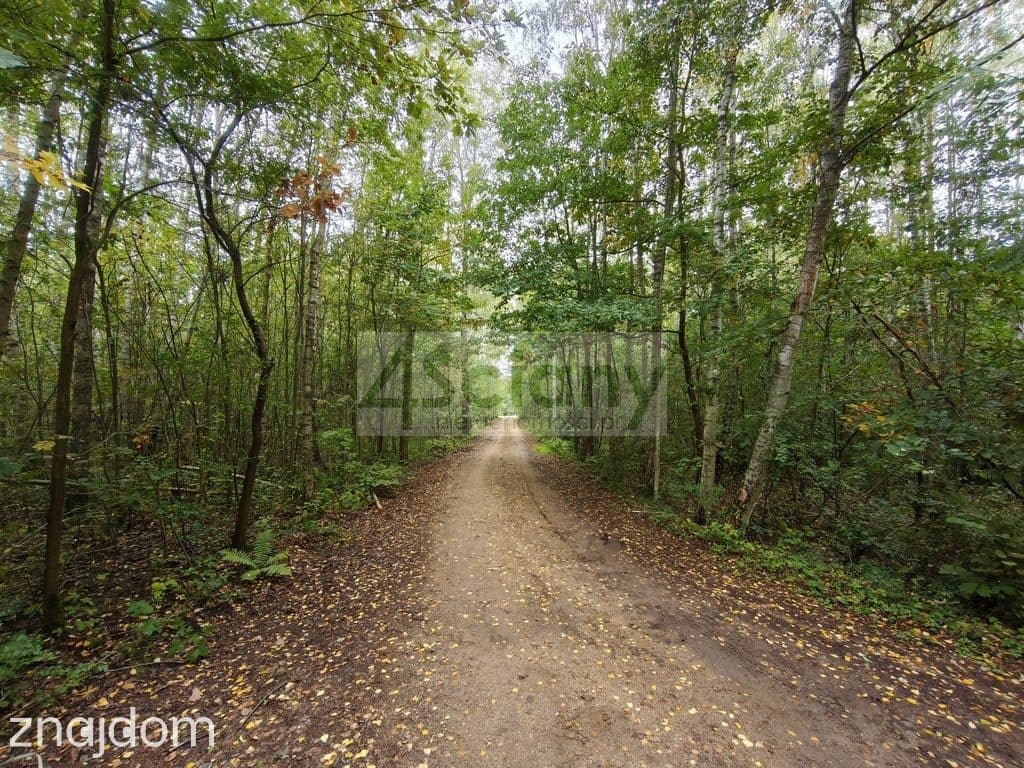Działka budowlana 1500 m² Ojrzanów - zdjęcie 5