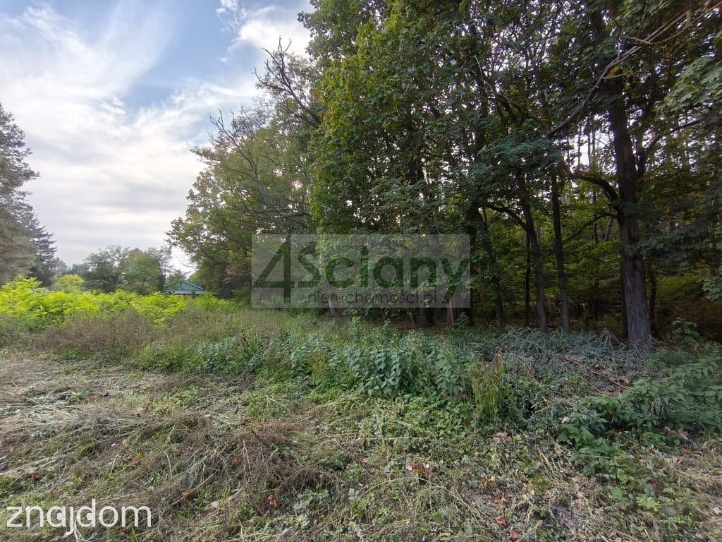DZIAŁKA BUDOWLANA | 1 500 M² | SZCZĘSNE - zdjęcie 6