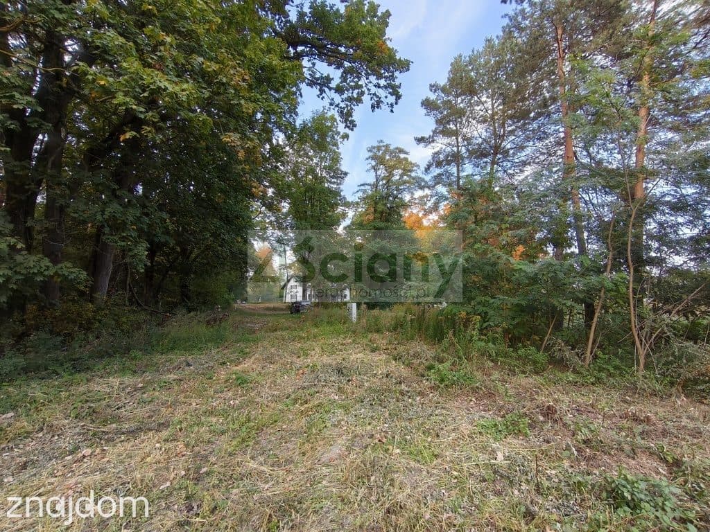 DZIAŁKA BUDOWLANA | 1 500 M² | SZCZĘSNE - zdjęcie 5