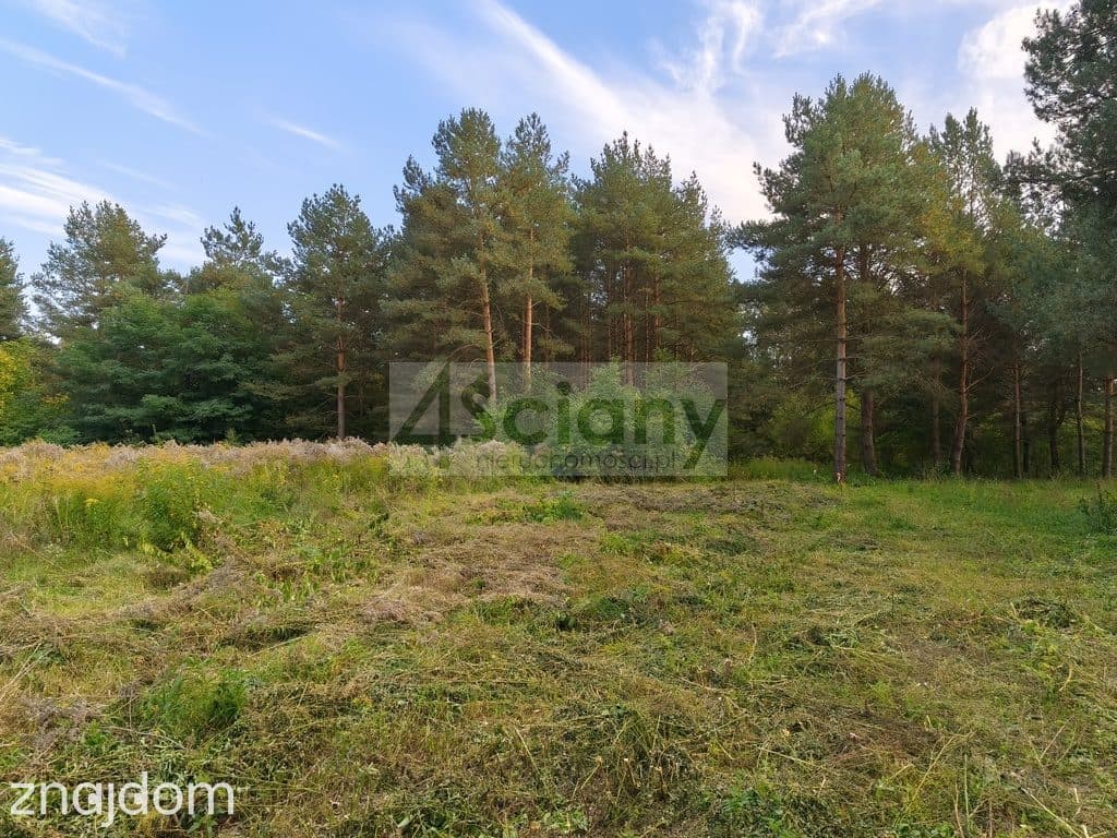 DZIAŁKA BUDOWLANA | 1 500 M² | SZCZĘSNE - zdjęcie 3