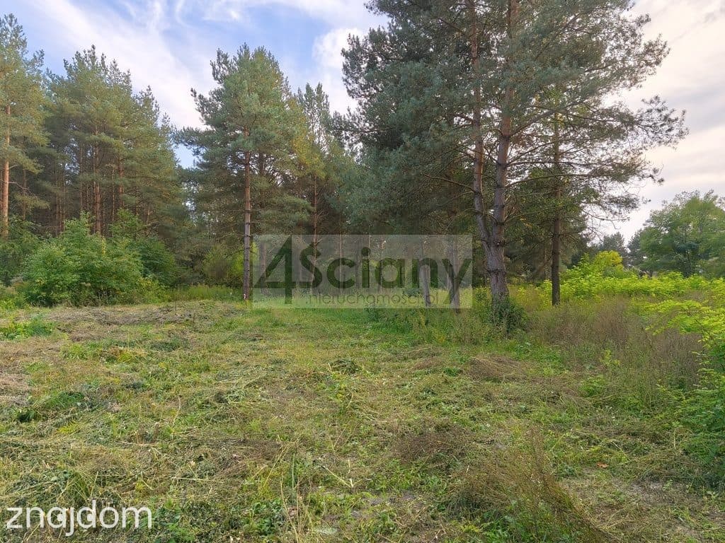 DZIAŁKA BUDOWLANA | 1 500 M² | SZCZĘSNE - zdjęcie 2