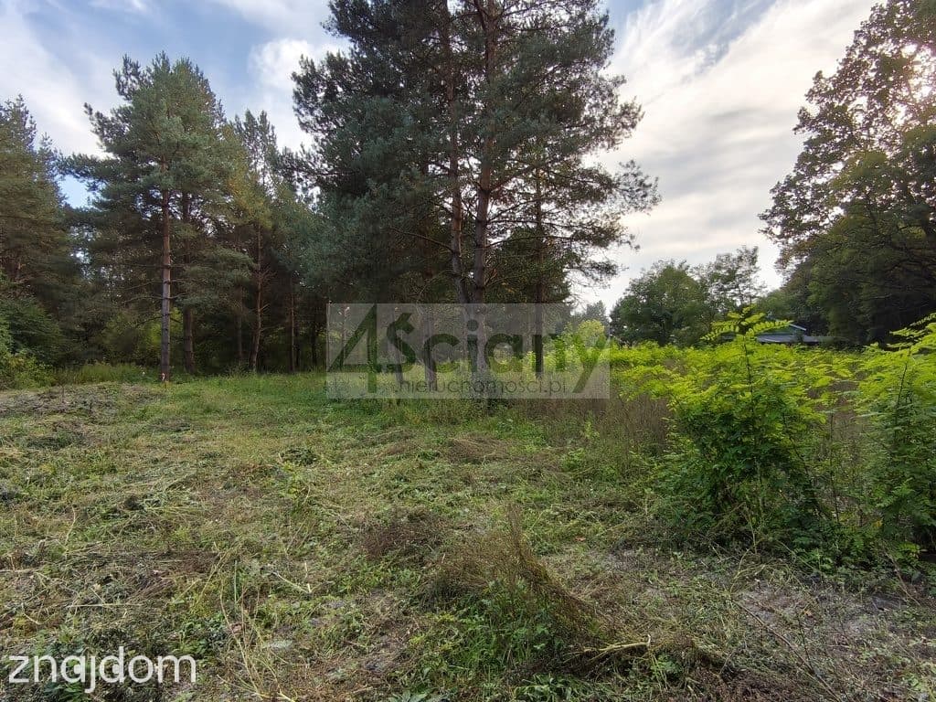 DZIAŁKA BUDOWLANA | 1 500 M² | SZCZĘSNE