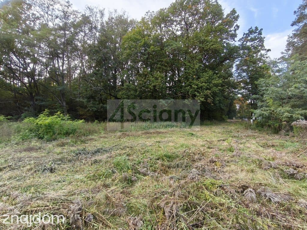 DZIAŁKA BUDOWLANA | 1 500 M² | SZCZĘSNE - zdjęcie 4