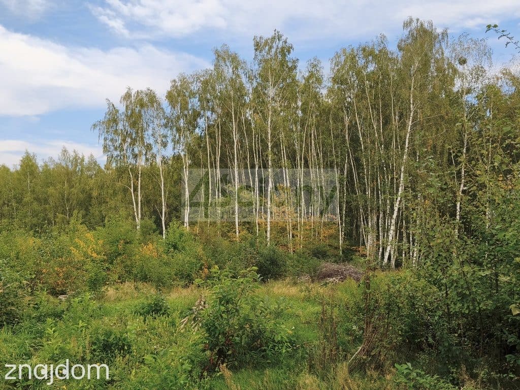 Dom w Kozerkach 115,7m² - zdjęcie 5