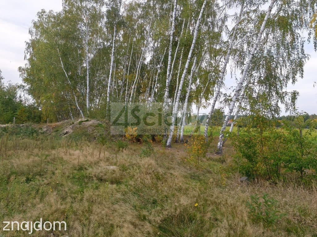 Dom w Kozerkach 115,7m² - zdjęcie 8