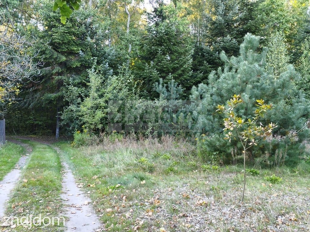 Działka budowlana, Ojrzanów - zdjęcie 5