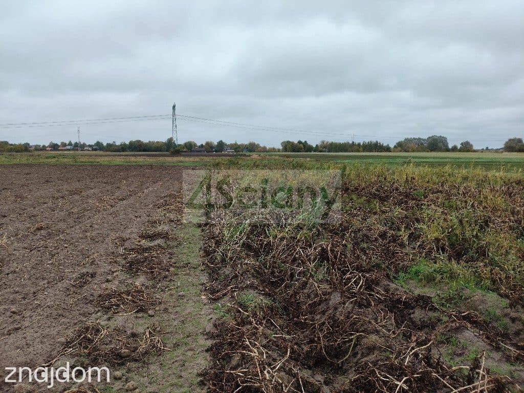 Cicha działka w Podkampinos A