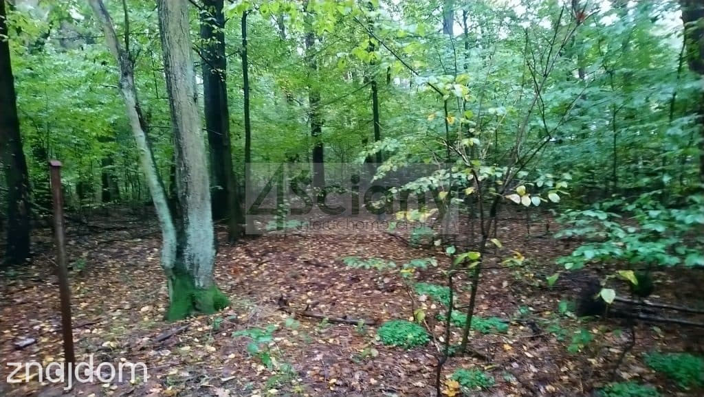 Rezydencjonalna, leśna działka - zdjęcie 7