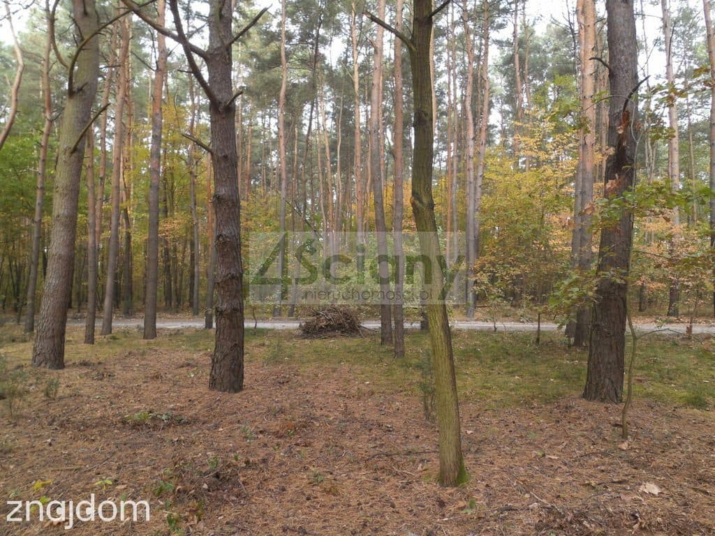 Piękna działka leśno - budowlana w józefowie - zdjęcie 5