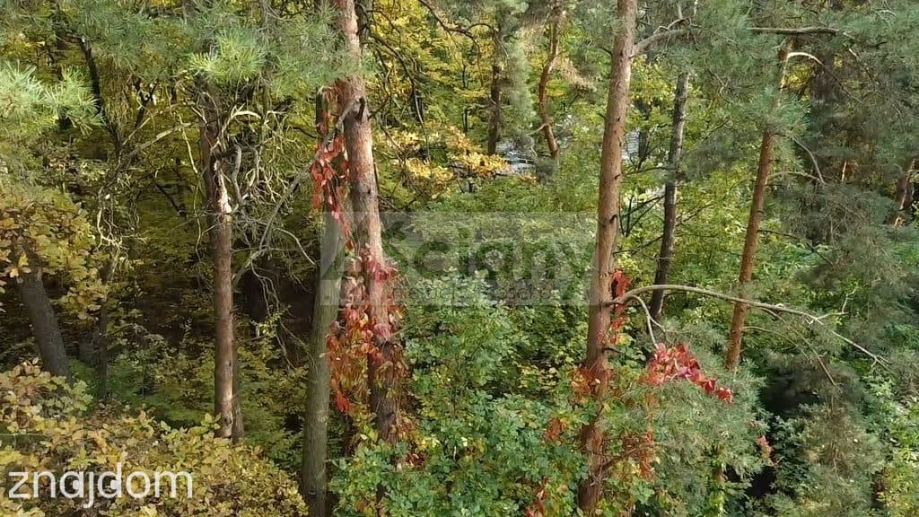 Rezydencjonalna, leśna działka - zdjęcie 5