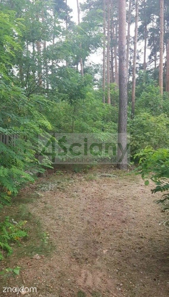 Działka, SULEJÓWEK - zdjęcie 4