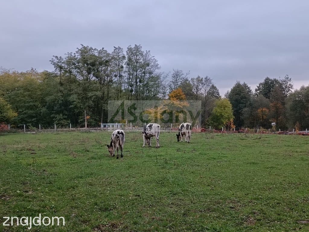 Dworek w Okolicach Strzegowa, działka 1.5 Ha - zdjęcie 14