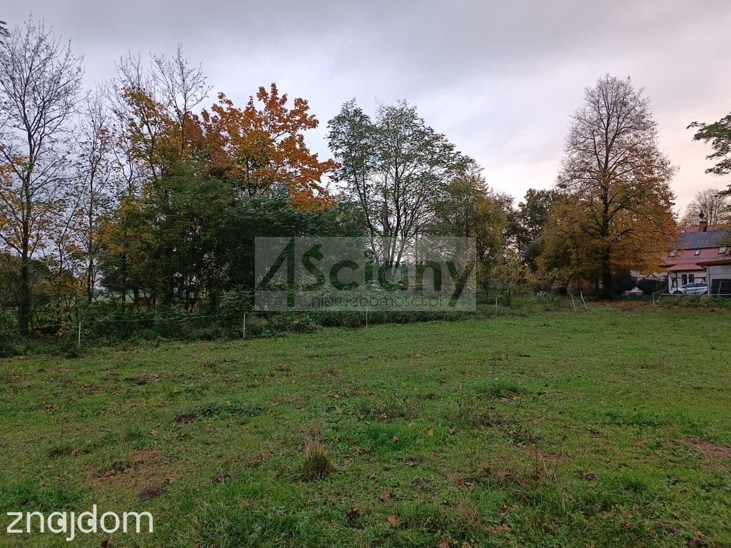 Dworek w Okolicach Strzegowa, działka 1.5 Ha - zdjęcie 16