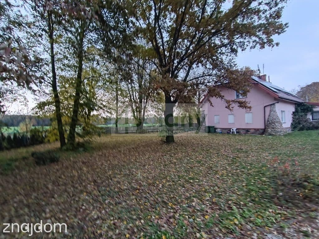 Dworek w Okolicach Strzegowa, działka 1.5 Ha - zdjęcie 20