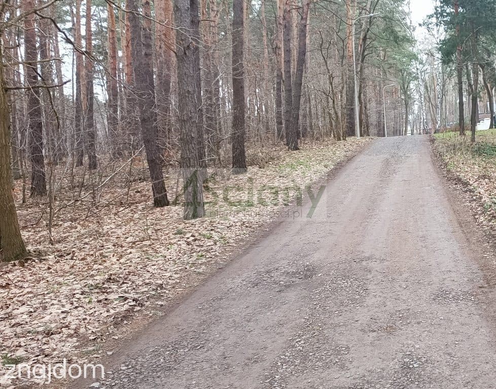 Atrakcyjna działka w Sękocinie Las - zdjęcie 3