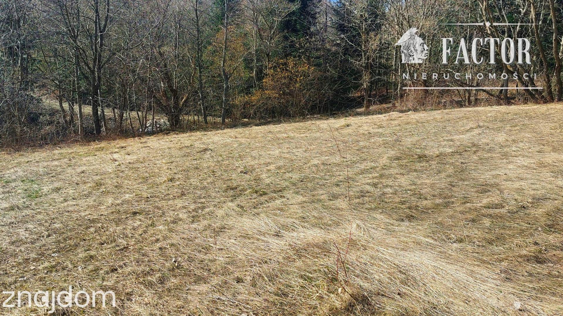 Bieśnik działka budowlano-rolna 18,46 a 1184S - zdjęcie 8