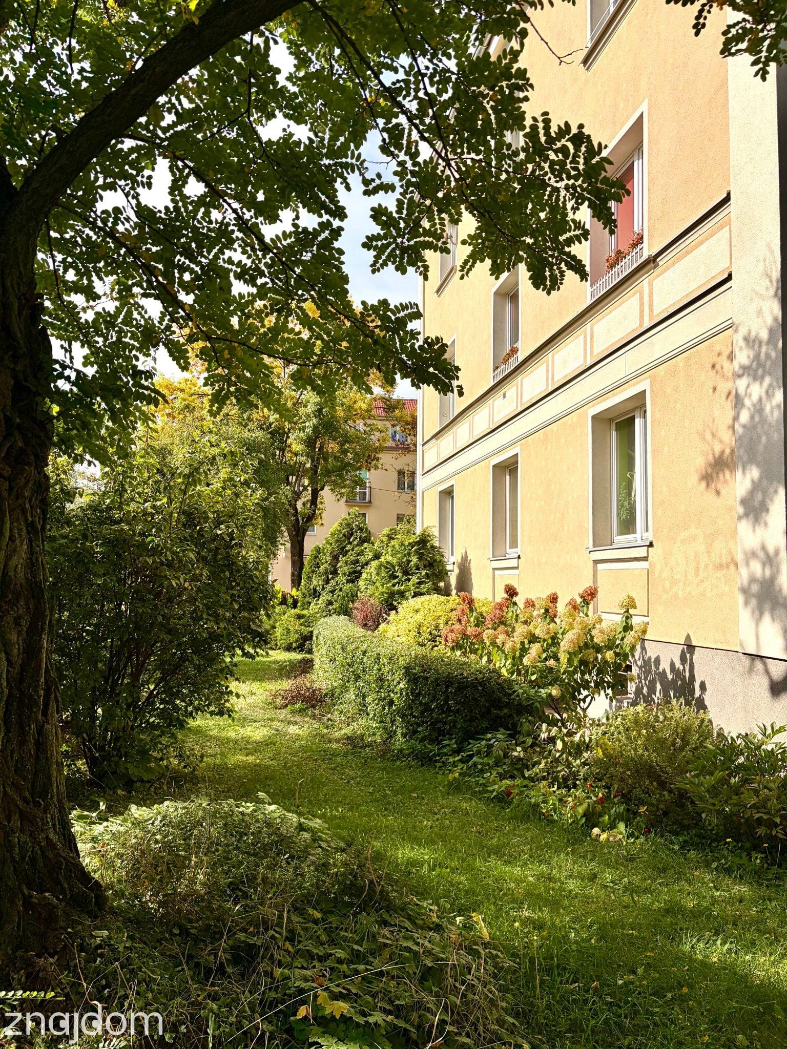 Grunwald, Marszałkowska, 3 pokoje - zdjęcie 9