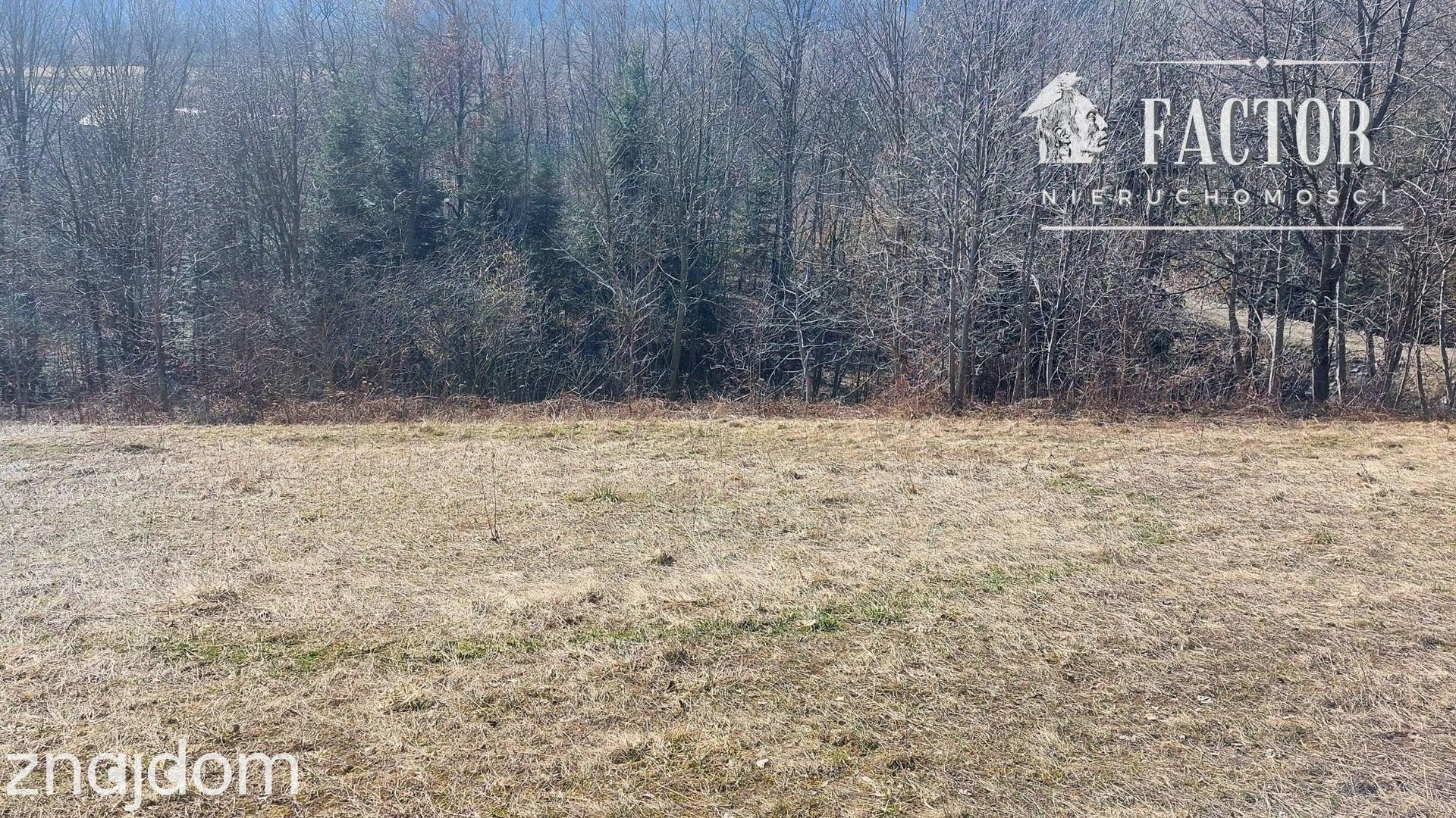 Bieśnik działka budowlano-rolna 18,46 a 1184S - zdjęcie 9