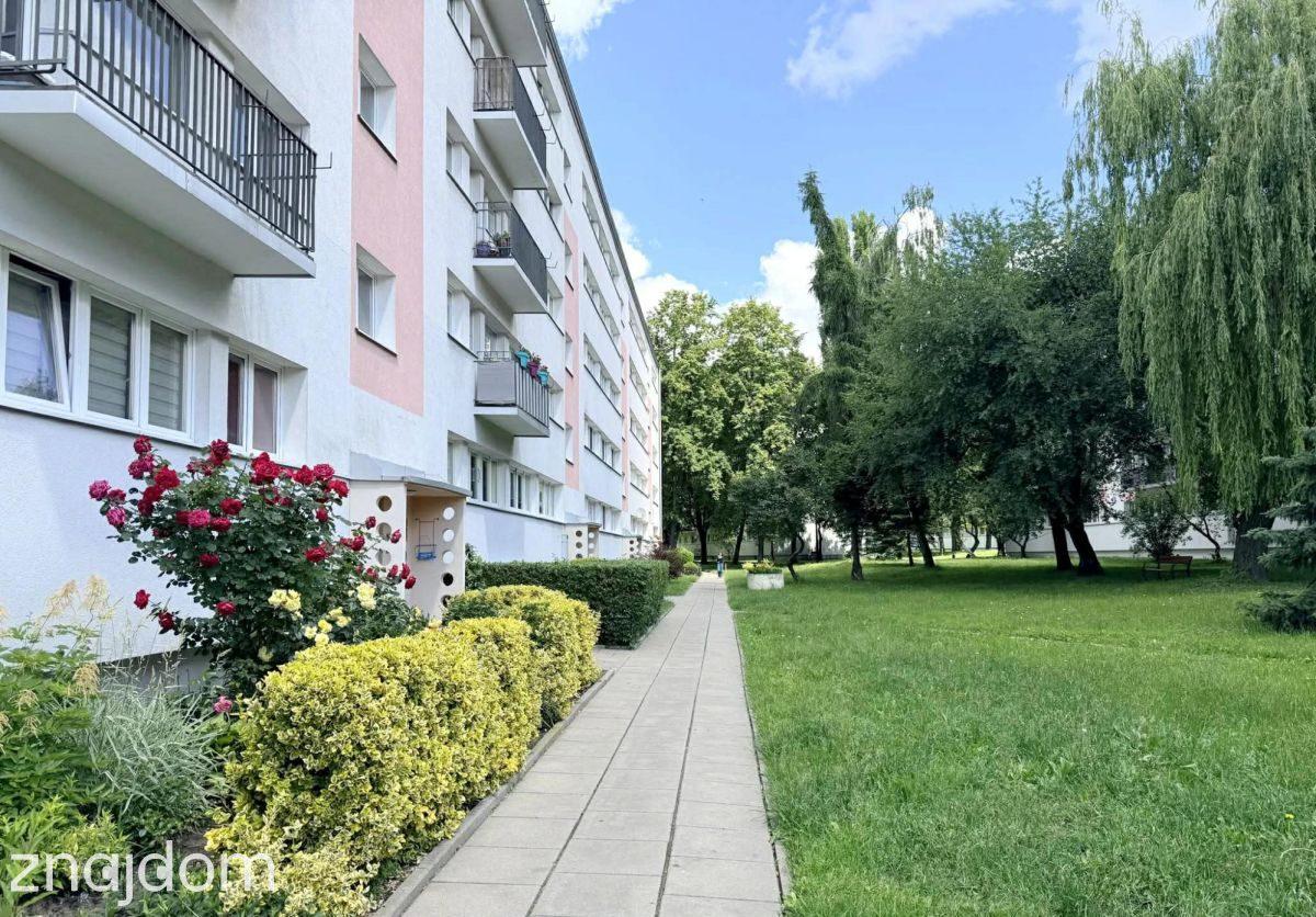 Kawalerka z balkonem na Teofilowie - zdjęcie 9