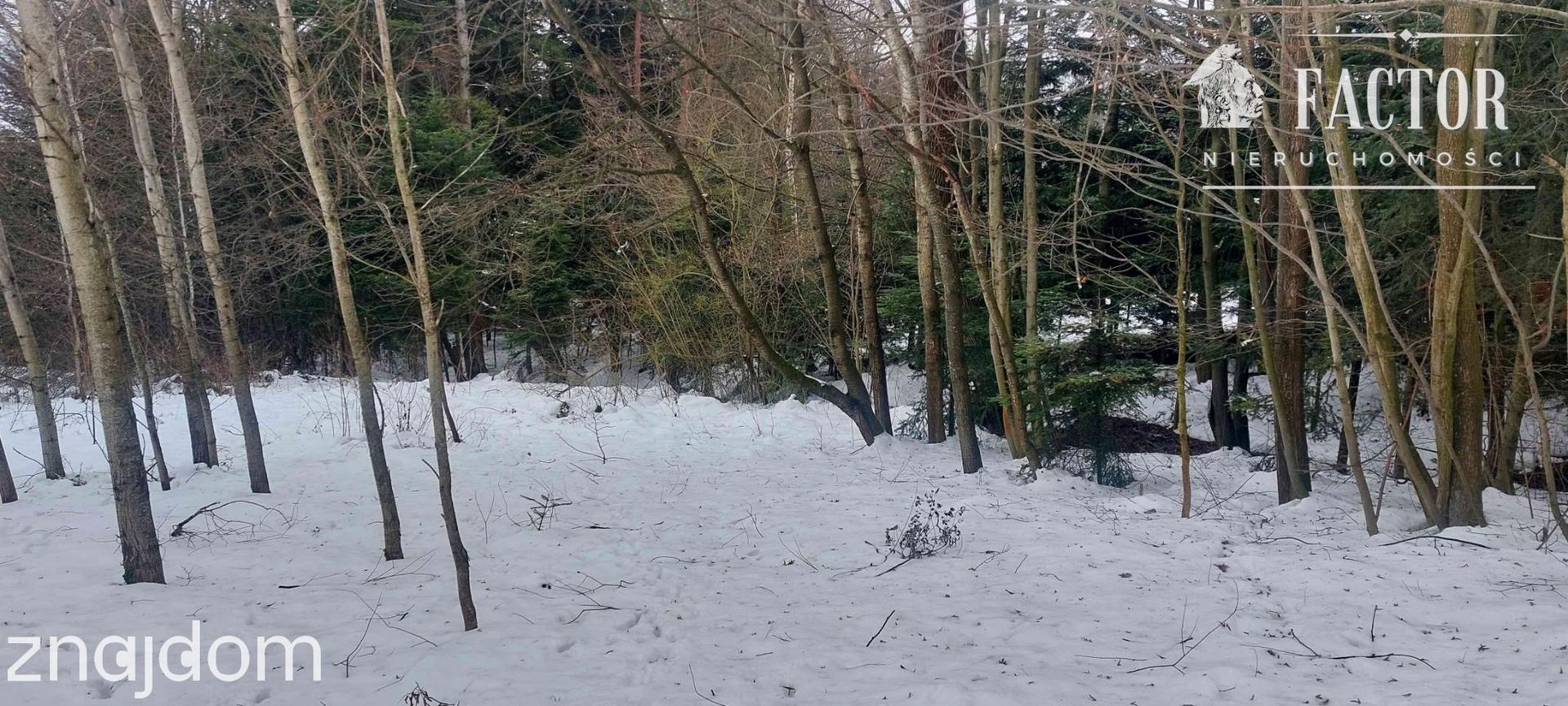 Biała Niżna działka budowlano-rolna 0,6 ha 1159S - zdjęcie 5