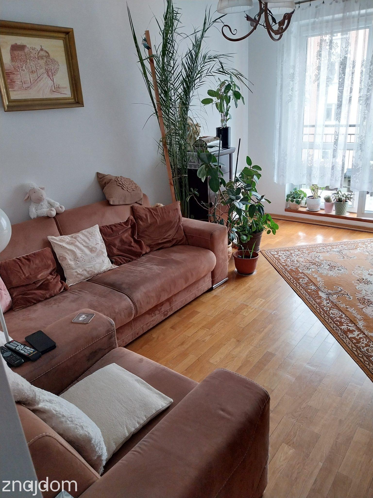 Mieszkanie 54 m2 Gdynia Dąbrowa