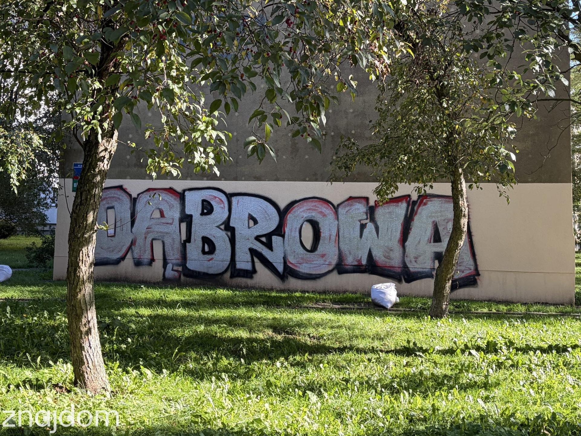Duże graffiti z napisem Dąbrowa na elewacji bloku mieszkalnego, otoczone trawnikiem i drzewami.