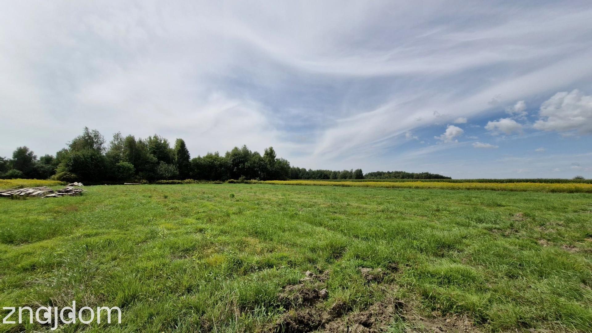 Dom na sprzedaż - zdjęcie 4