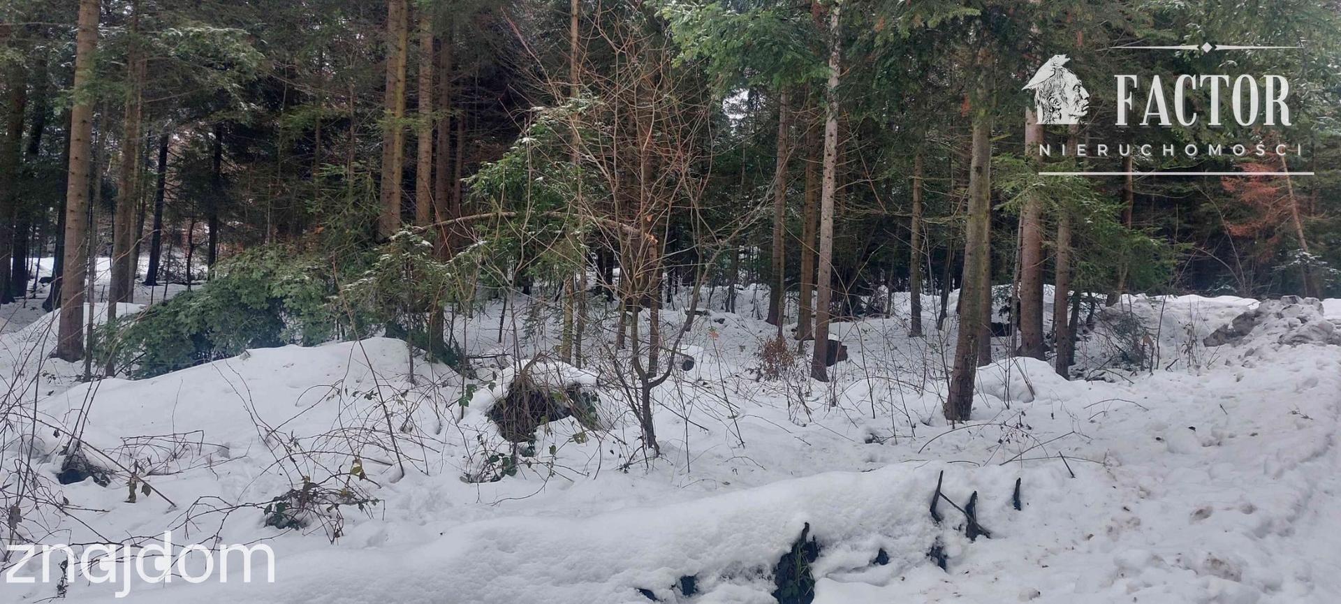 Biała Niżna działka budowlano-rolna 0,6 ha 1159S - zdjęcie 6