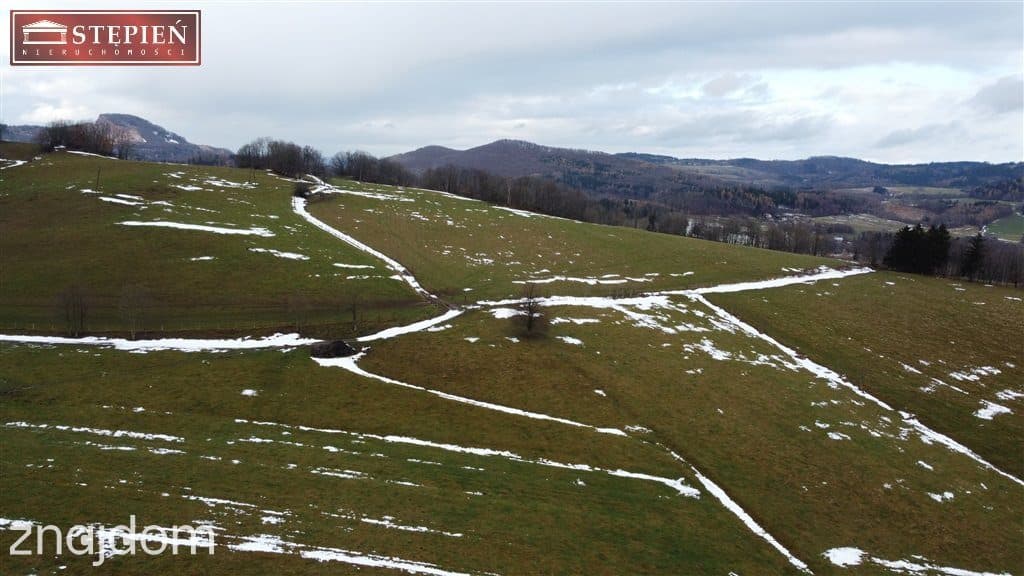 Dom z 1,2ha przy krajowej 3, Kaczorów - zdjęcie 3