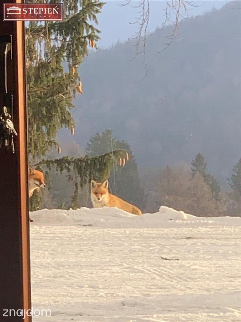 Enklawa ciszy i spokoju z widokami w Karkonoszach. - zdjęcie 14