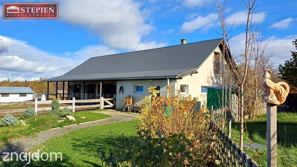 Agroturystyka z domem w sercu Gór Izerskich - zdjęcie 4