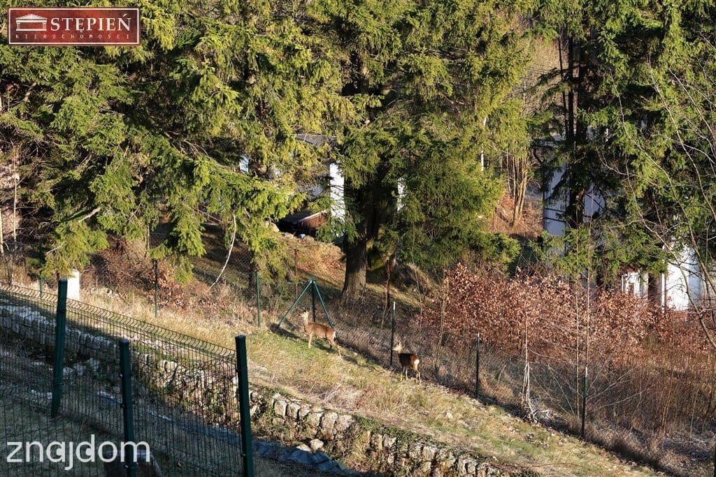 Apartament z pięknym widokiem na Karkonosze - zdjęcie 20