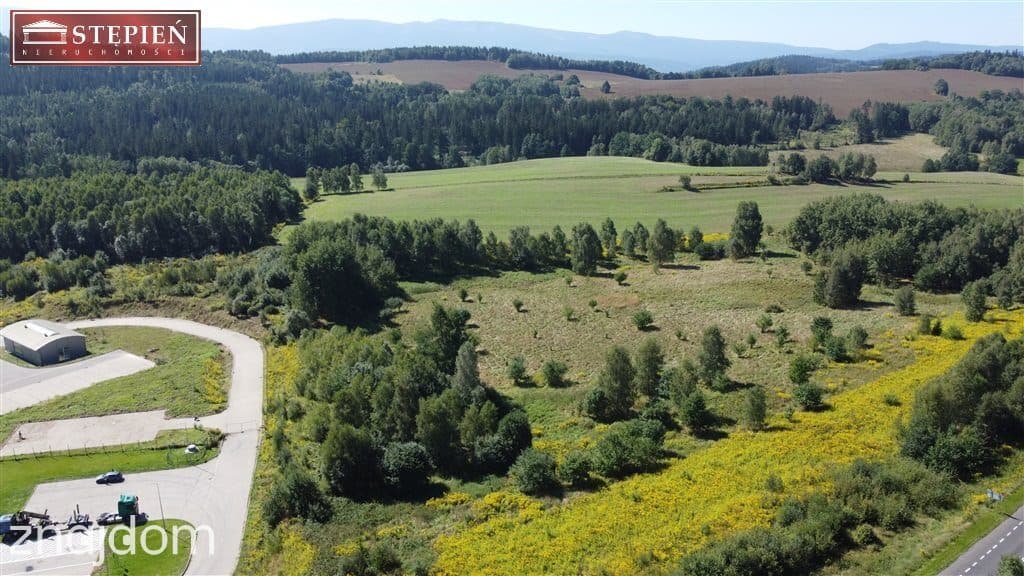 Oferta GS-23730-3