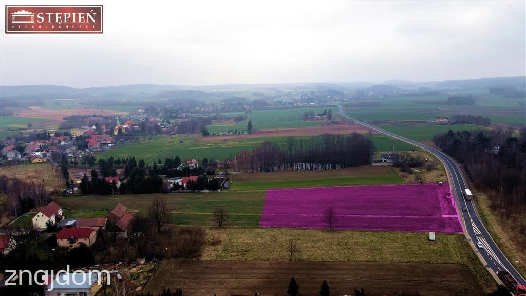 Działka usługowa przy drodze krajowej nr 30 ! - zdjęcie 2