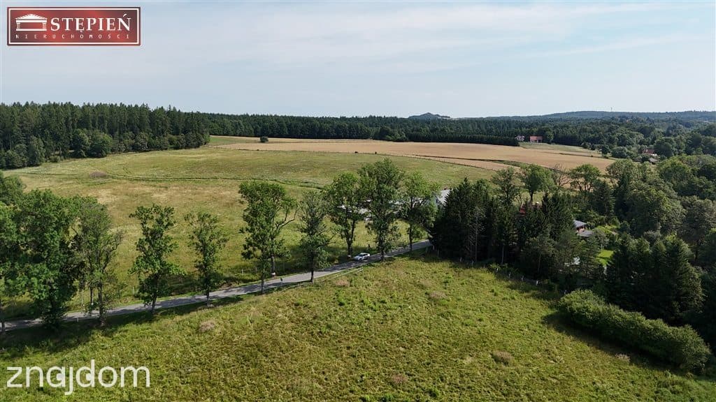 Działka pod Jaworem 80zł / 1mkw - zdjęcie 10