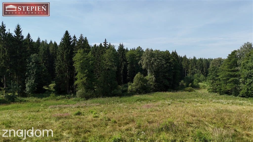 Działka pod Jaworem 80zł / 1mkw - zdjęcie 2