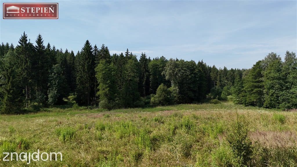 Działka pod Jaworem 80zł / 1mkw - zdjęcie 3